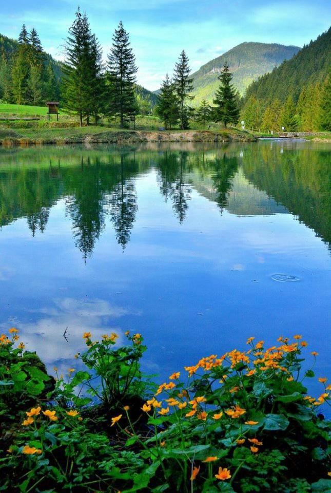 Alloggio per agriturismo U Dobrého Pastiera